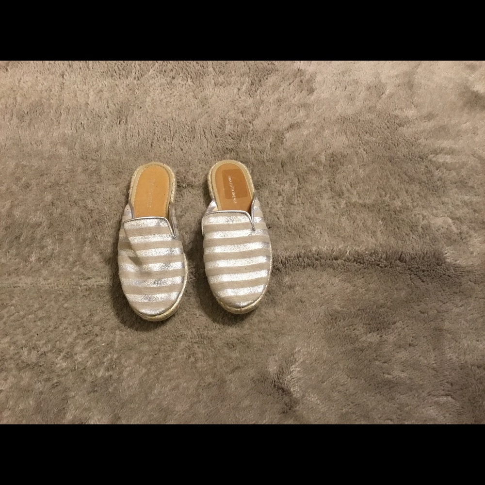 Canvas Slides
